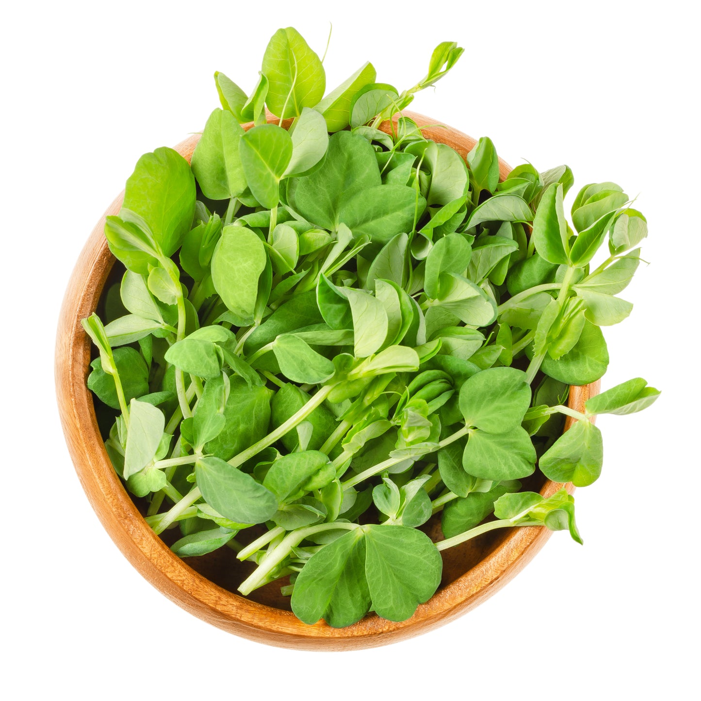 Micro Dun Pea